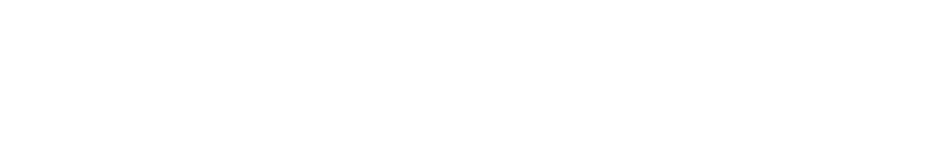 Fordefi